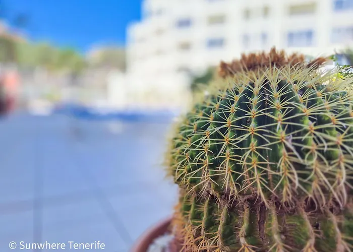 Mona Golf - South Tenerife - Aircon, Private Parking With Heated Pool