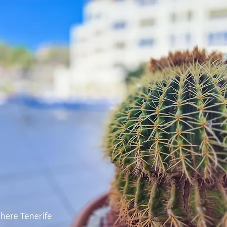 Mona Golf - South Tenerife - Aircon, Private Parking With Heated Pool